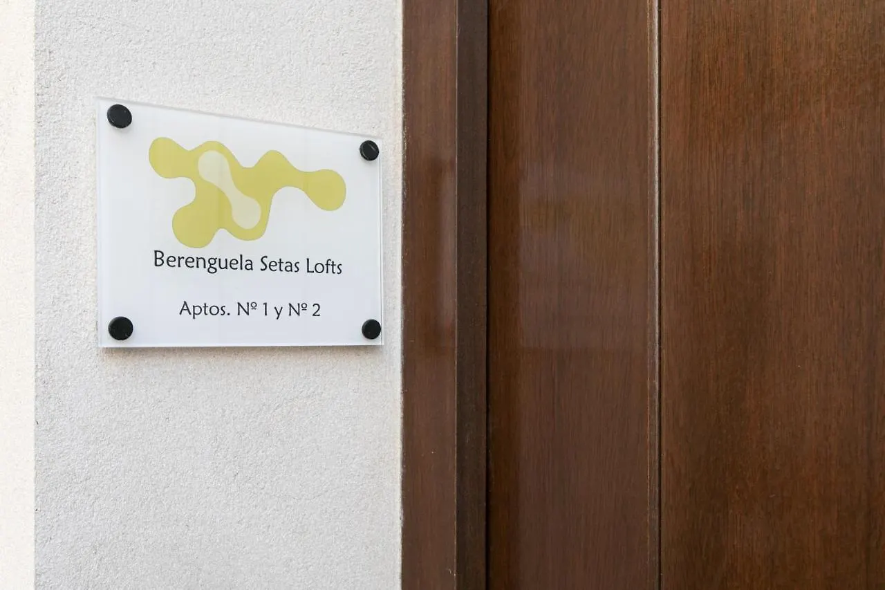 Berenguela Setas Lofts Apartment Seville